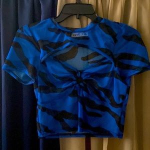 Fitted See Thru Blouse